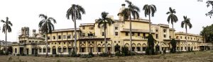बिग बास्केट बेटिंग in Lucknow: Complete 2027 Guide for Indian Players
